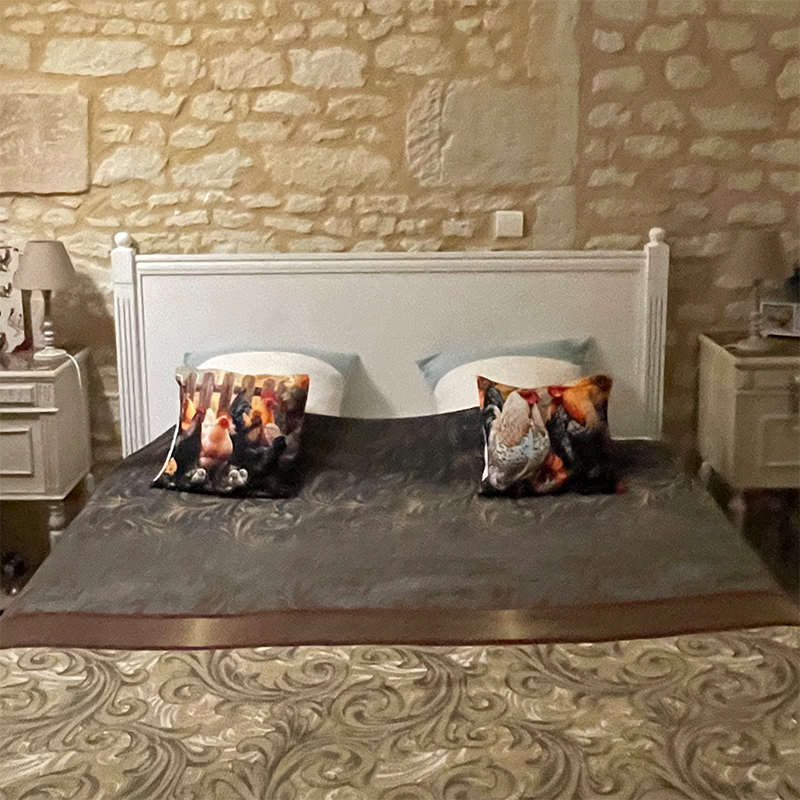 Une Poule sur un Mur - chambre-une-poule-sur-un-mur-ecole-de-mathuna-5